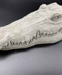 Alligator Head Concrete Statue