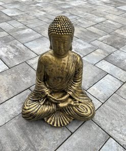 Buddha's