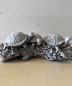 Turtles On Log