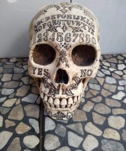 Skull concrete statue